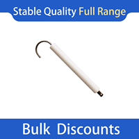 Han Chang Factory Direct Sonde ionique BG450 Allumeur à granulés en céramique d'alumine pour four à gaz, services de soudage et de découpe, pièces de chaudière