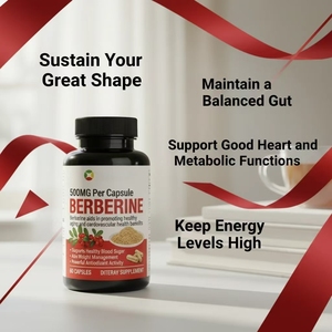 Gélules de Berbérine 500MG Marque Blanche/OEM ODM, 60 Capsules – Complément Alimentaire pour la Glycémie, la Santé Cardiaque et le Soutien Antioxydant - Product Image 2