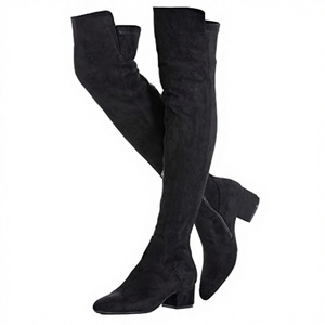 Bottes sexy d'hiver respirantes à bout pointu, à talon bloc, à plateforme épaisse, montantes jusqu'au-dessus du genou - Product Image 2