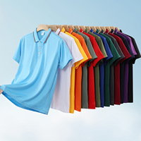 Polo T-shirt personnalisé pour homme, séchage rapide, respirant, tricoté, pour le golf, le sport, le travail, uniforme, logo brodé personnalisé