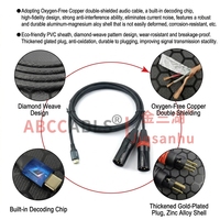 Câble audio stéréo ABCCABLS 2m USB Type C vers sortie XLR, adaptateur USB C pour amplificateur de puissance, console de mixage