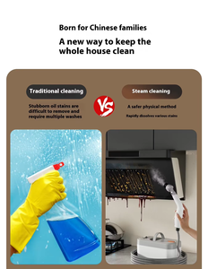 Limpiador a Vapor Eléctrico Portátil Ajustable para Limpieza Profunda y Desinfección para el Hogar y el Automóvil, con Fuente de Alimentación - Product Image 5