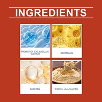 Friandises à mâcher molles pour chiens à base de champignons Turkey Tail et de bromélaïne probiotique - Soutien immunitaire, santé digestive, tous âges