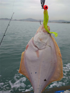 T coda luminosa esche morbide esche Silicone 50mm 75mm merci <span class=keywords><strong>per</strong></span> la pesca <span class=keywords><strong>mare</strong></span> Wobblers attrezzatura artificiale - Product Image 6