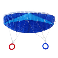 Publicité professionnelle double ligne parapente cascadeur cerf-volant tissu et nylon puissance cerf-volant pour usage sportif de l'usine de cerf-volant