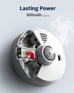 <span class=keywords><strong>Piles</strong></span> rechargeables Li-ion EBL 9V avec <span class=keywords><strong>chargeur</strong></span> <span class=keywords><strong>de</strong></span> <span class=keywords><strong>piles</strong></span> 9V 600mAh, cellules <span class=keywords><strong>9</strong></span> <span class=keywords><strong>volts</strong></span>, lot <span class=keywords><strong>de</strong></span> 2 - Product Image 2