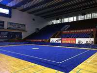 Aprobado BJJ Karate Training Tatami Mats Taekwondo Mats Karate Training Tatami Mats