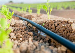 Système d'irrigation goutte à goutte sur 1 <span class=keywords><strong>hectare</strong></span> : Tuyau d'irrigation goutte à goutte en gros directement de l'usine pour les terres agricoles - Product Image 6