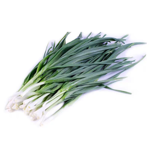 Hojas de Ajo Deshidratadas, Hojas de Ajo Secas AD, Fábricas de Alimentos Chinas Producen Alimentos Orgánicos a Precios Accesibles - Product Image 2