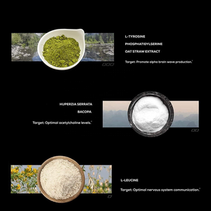 Suplemento de cápsulas nootrópicas L-teanina, Alpha GPC y Bacopa Monnieri para concentración de enfoque y mejora de la memoria - Product Image 3