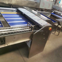 Industriële grote capaciteit eierweegschaal 5-niveau kippenboerderij eiersorteermachine in de aanbieding
