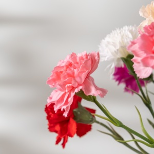 <span class=keywords><strong>Claveles</strong></span>, Decoración de Flores Simuladas Realistas, Decoración de Flores Artificiales, Decoración de Flores Artificiales para Bodas - Product Image 6