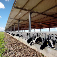 Bâtiments de style ferme, poulailler, structure en acier préfabriquée, entrepôt pour élevage de volailles, poulailler pour élevage de poulets