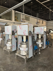 Presse hydraulique à froid pour jus d'ananas, miel, noix de coco, grenade et autres fruits – Usage commercial pour usine - Product Image 6