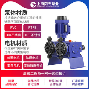 ปั๊มสูบจ่ายสารเคมีแบบไดอะแฟรม รุ่น DJ-X2 ของ Shanghai Sunshine Pump Industry ความจุ 480 ลิตร/ชั่วโมง ปั๊มจ่ายสารเคมีแรงดันสูง - Product Image 4