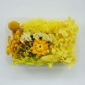 <span class=keywords><strong>Flores</strong></span> <span class=keywords><strong>Secas</strong></span> <span class=keywords><strong>y</strong></span> <span class=keywords><strong>Preservadas</strong></span> para Manualidades, Caja de Materiales de <span class=keywords><strong>Flores</strong></span> Eternas de Colores Mixtos Aleatorios, Decoración DIY - Product Image 5