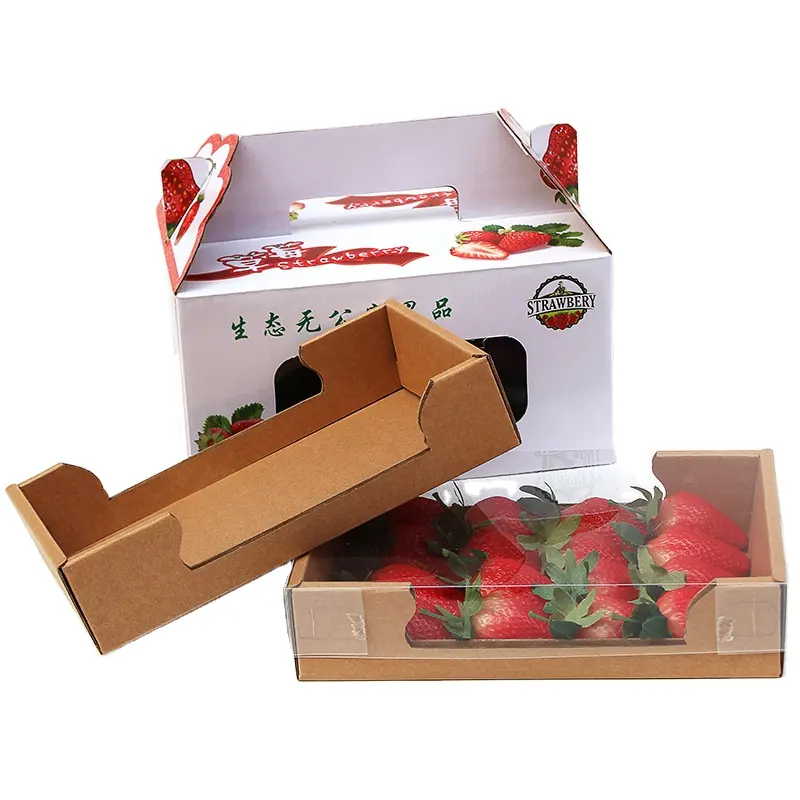 Carta ondulata consegna da asporto Fast Food carta Kraft imballaggio scatola di frutta riciclabile personalizzata King Size imballaggio di frutta BYBOX009