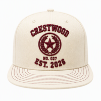 Casquettes Snapback Vintage Unisexe Personnalisées en Coton Sergé à 6 Panneaux avec Broderie 3D en Relief et Badge Numéroté, Réglables – Fabrication OEM