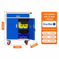 Coffre à outils à double porte avec serrures à clé, capacité de charge 300 kg, personnalisable OEM/ODM, garantie 3 ans - Garde les outils précieux en sécurité et organisés