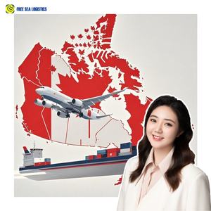 Services DDU DDP Canada-USA & Logistique <span class=keywords><strong>New</strong></span> <span class=keywords><strong>York</strong></span> - Solutions d'expédition transfrontalière Chine-USA par fret aérien et maritime - Product Image 2