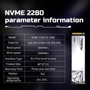 PUSKILL Fabrieks Prijs OEM ODM M.2 2280 NVMe PCIe 3.0 SSD Aangepaste Logo 3D NAND Solid State Drive Groothandel - Product Image 6