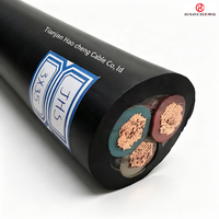 Kabel Pompa Submersible Kelas Industri Kelautan JHS Berisolasi EPR 450/750V dengan Fleksibilitas Tinggi