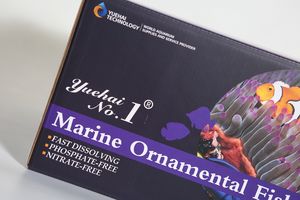 Top Ongeraffineerde Sps Coral Matige Prijs Marine Siervissen Zeezout Water <span class=keywords><strong>Aquarium</strong></span> <span class=keywords><strong>Aquarium</strong></span> - Product Image 3