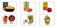 Ligne de production instantanée de taro et de légumes en conserve avec des composants essentiels tels que les roulements à billes PLC