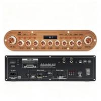 Module amplificateur audio numérique AC220V DC12V pour système de musique vocale extérieur avec carte PCB complète