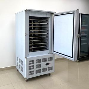 10 plateaux nouveau congélateur à choc de congélation congélateur à bloc de glace avec un bon prix - Product Image 2