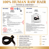 Perruque bouclée en cheveux humains HD Lace, sans colle, pré-épilée, nœuds blanchis, prête à porter, pour femmes noires
