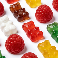 Bonbons Gommeux Colorés Q-bouncy Bear à la Framboise, Assortiment de Saveurs de Fruits, Bonbons Décontractés pour Enfants et Adultes, Vente en Gros