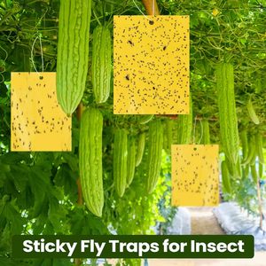 Qualirey 100 pièges collants jaunes double face pour intérieur, contre les moucherons, les mouches, les abricots, lutte antiparasitaire des plantes intérieures et extérieures - Product Image 3