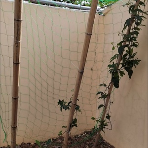 Filet <span class=keywords><strong>de</strong></span> soutien renforcé pour plantes grimpantes, rouleau <span class=keywords><strong>de</strong></span> treillis <span class=keywords><strong>de</strong></span> jardin pour tomates, concombres, haricots longs et légumes - Product Image 6