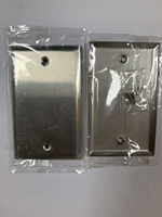 Couvercle vierge de plaque murale en métal en acier inoxydable brossé US 2 Gang pour l'installation de commutateurs 125V 20A