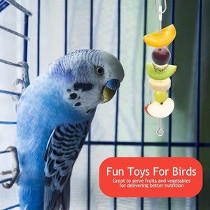 Eco-Friendly Hanging Stainless Steel <strong>Bird</strong> Parrot Forager Skewer <strong>Food</strong> Holder Toy Fork for Feeding Corn Apple <strong>Fruit</strong> <strong>Bird</strong> Supplies - Product Image 6