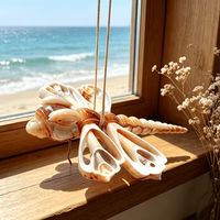 Ornement de Noël suspendu en forme de libellule en coquillages faits à la main, décoration de libellule en coquillages naturels, décoration murale nautique côtière