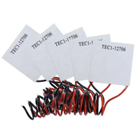Refroidisseur thermoélectrique TEC1-12706 Peltier TEC1-12705 12V 5A Cellules Éléments Peltier Module TEC1-12704 Module dissipateur thermique