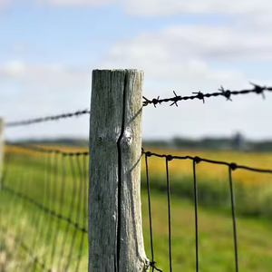 Nhà Sản Xuất Mạ Kẽm Dê Nuôi Hàng Rào/Trang Trại Hàng Rào/Cừu Và Bò Hàng Rào <span class=keywords><strong>Net</strong></span> Hàng Rào Ngoài Trời Thân Thiện Với Môi Dễ Dàng Lắp Ráp - Product Image 3