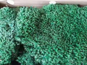 Çin fabrika yüksek kaliteli korunmuş kutup Moss duvar dekor ev dekor korunmuş yosun - Product Image 3