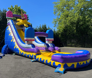 Toboggan aquatique gonflable pour crème glacée, toboggan aquatique long <span class=keywords><strong>avec</strong></span> <span class=keywords><strong>piscine</strong></span> amovible - Product Image 2