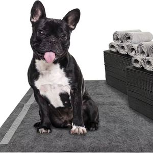แผ่นรองซับฉี่สุนัขแบบใช้แล้วทิ้ง Puppy Potty Charcoal Training Pet Pads ซึมซับดีเยี่ยม ป้องกันการรั่วซึม - Product Image 1