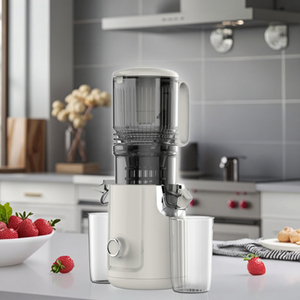 Extractor de Jugos Prensado en Frío de Gran Calibre de 128 mm y 300 W con Cuchilla de Plástico para Uso Doméstico - Product Image 5