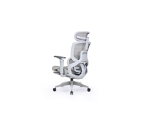 Chaise de bureau exécutive ergonomique haut de gamme en maille avec support lombaire, base chromée et fonctions réglables pour le bureau à domicile