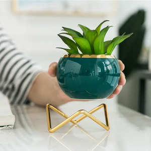 Macetas de plantas suculentas creativas, Mini crack de hielo, maceta de cerámica esmaltada, jardín, hogar, decoración <span class=keywords><strong>Zakka</strong></span>, maceta artesanal - Product Image 5