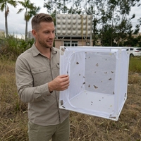 Vente en gros usine : Cage d'élevage d'insectes écologique en nylon carré avec fermeture éclair, kits d'élevage de papillons d'extérieur