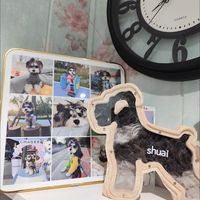 Tirelire en bois naturel pour chien, design Art Déco, artisanale, logo personnalisé, décoration d'intérieur, cadeau pour les amoureux des animaux pour Noël et anniversaire