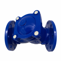 Filtre en Y en fonte ductile DN65-DN125 GGG50 QT450 avec embout en acier inoxydable SS304 PN16 pour pompe CVC et traitement de l'eau OEM ACKO