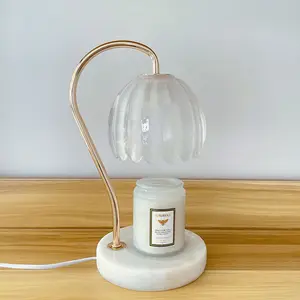 N222 hot Seller New Arrival High Quality Candle Warmer Lamp Candle Warmer Electric Lamp With Pumpkin-Shaped Glass