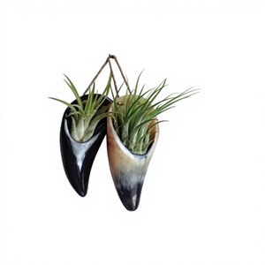Florero Artesanal de Cuerno de Búfalo, Recipiente Decorativo Natural para Regalo de Boda o Fiesta - Product Image 1